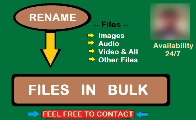I will rename your bulk files