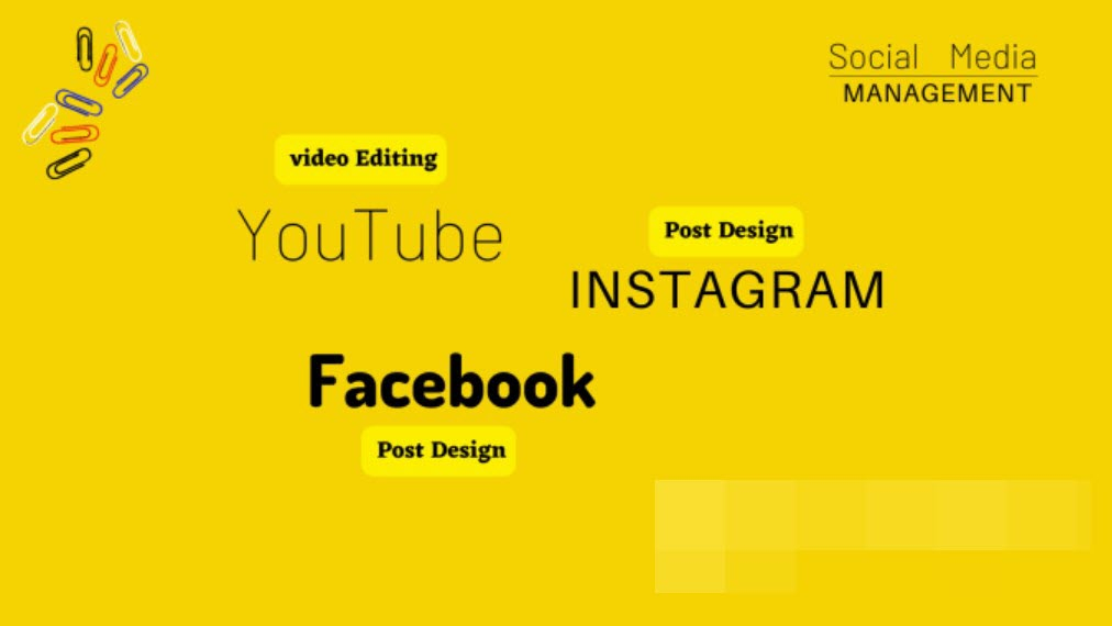 I will manage social media facebook instagram youtube for life coaches