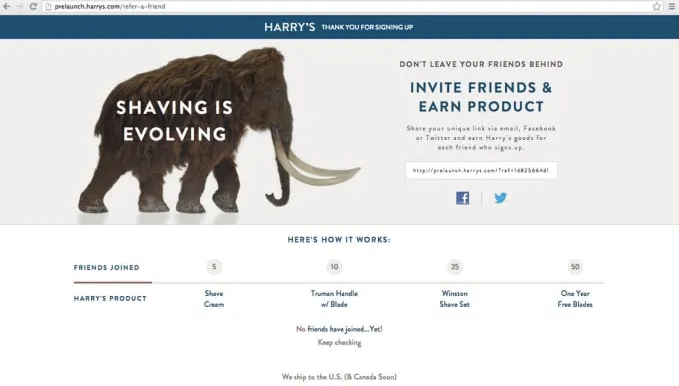 I will develop ruby on rails web app, web services with hotwire
