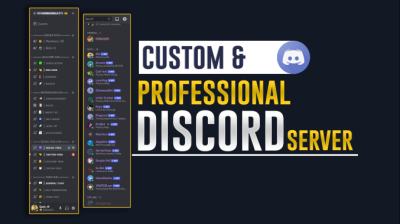 I will setup custom discord server professionally