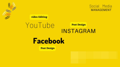 I will manage social media facebook instagram youtube for life coaches