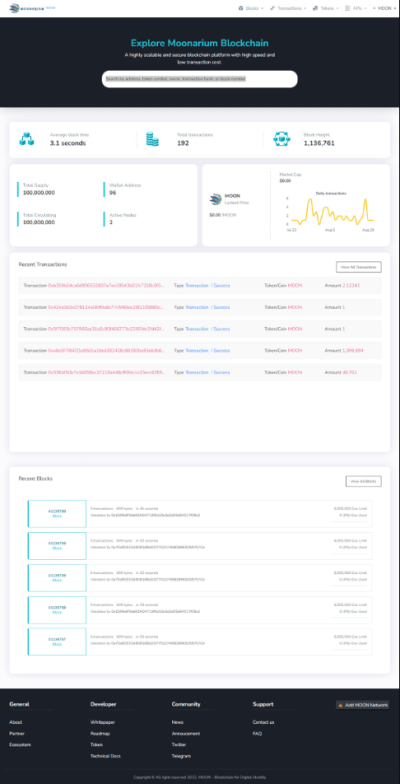 I will build a blockchain explorer for you