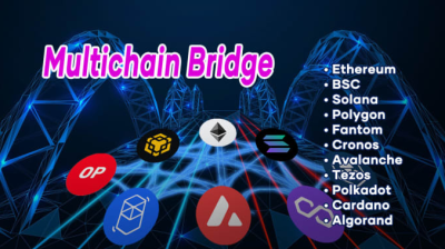 I will build evm multi cross chain token bridge